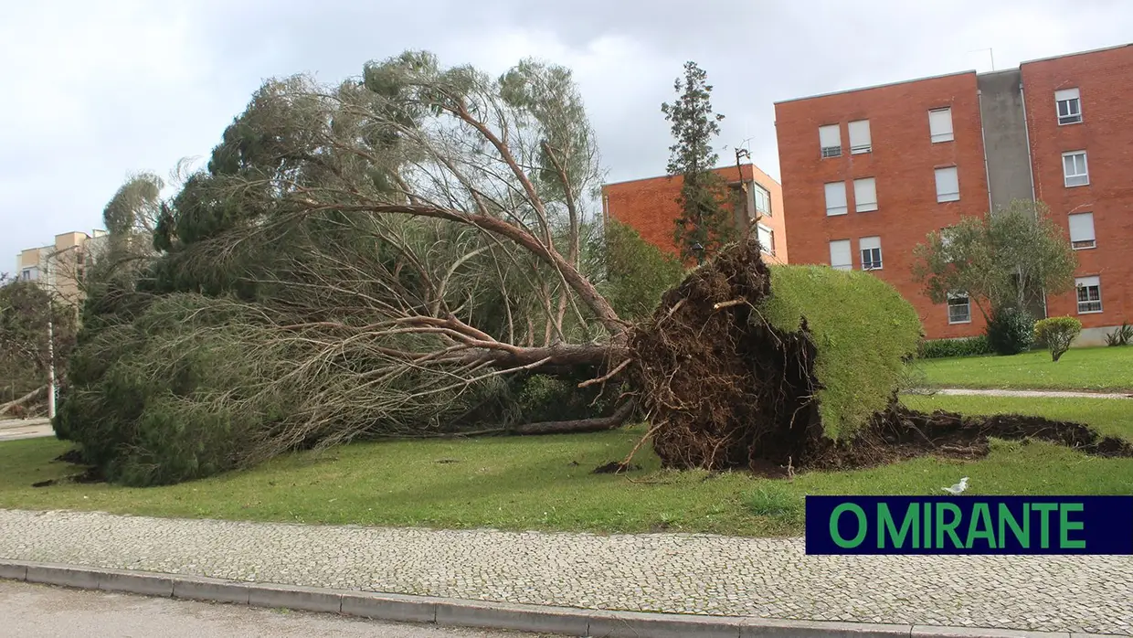 Mais imagens dos efeitos da Depressão Kristin em Tomar 