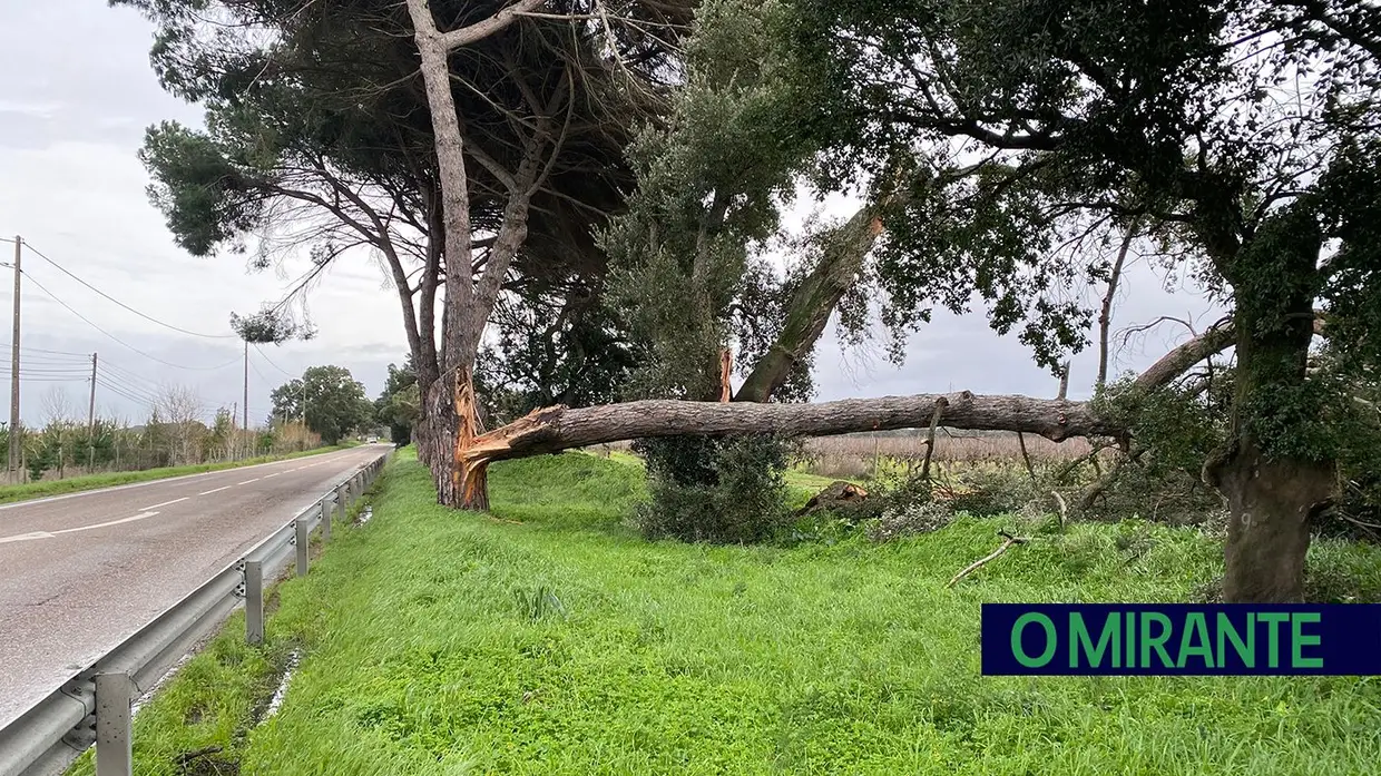 Madrugada trágica em toda a região por causa da depressão Kristin