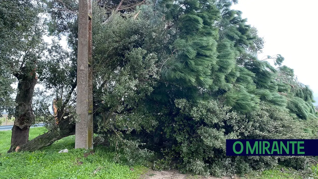 Madrugada trágica em toda a região por causa da depressão Kristin