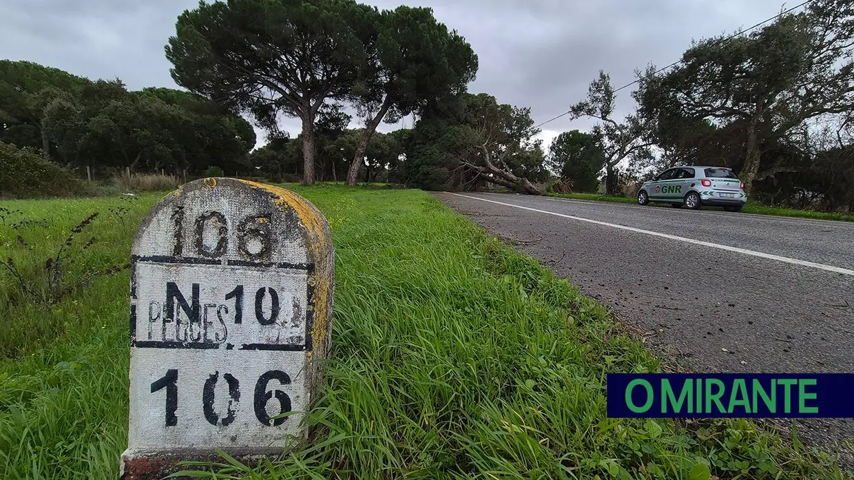 Mau tempo deixa rasto de árvores caídas e vias cortadas no concelho de Benavente