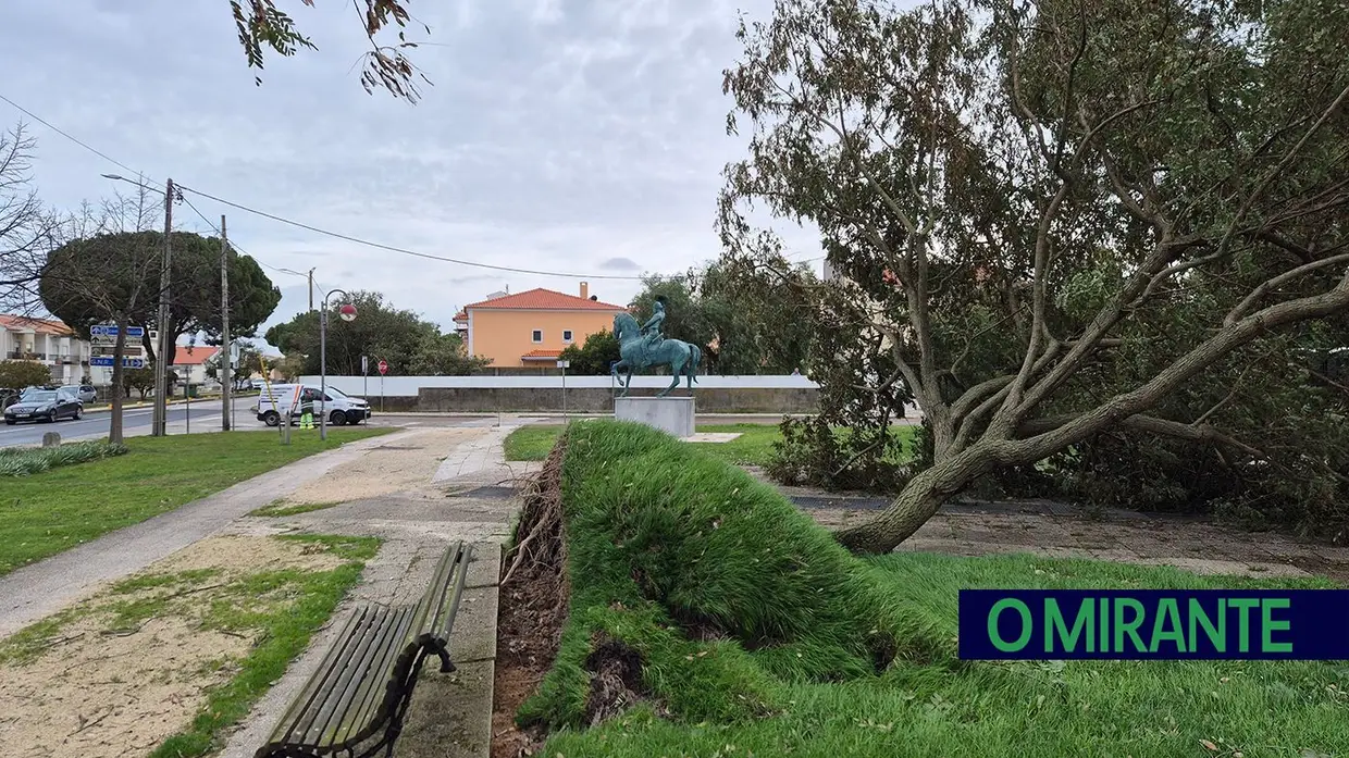 Mau tempo deixa rasto de árvores caídas e vias cortadas no concelho de Benavente