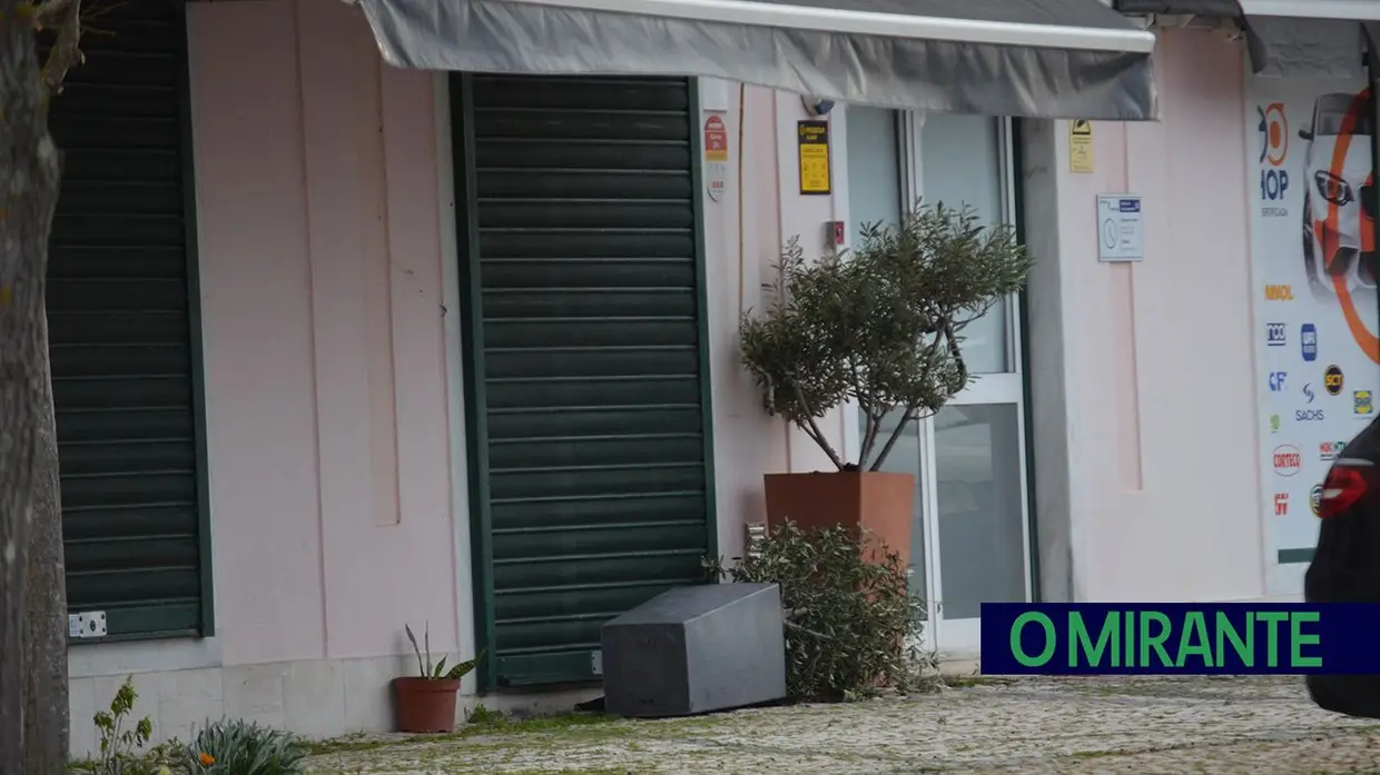 Mau tempo deixa rasto de árvores caídas e vias cortadas no concelho de Benavente