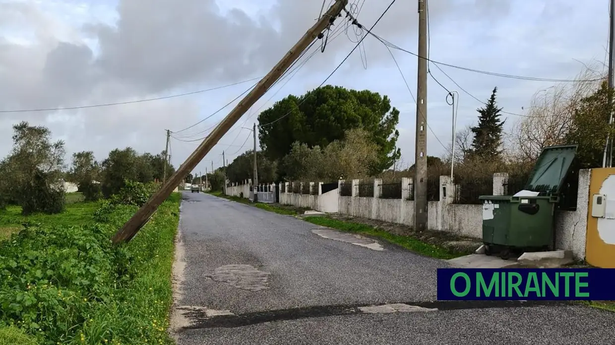 Depressão Kristin no Cartaxo: árvores caídas, campos arrasados e sinais derrubados