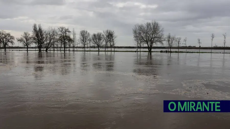 Quedas de árvores e risco de alagamentos marcam mau tempo em Coruche