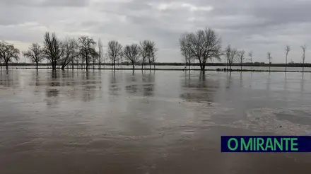 Quedas de árvores e risco de alagamentos marcam mau tempo em Coruche