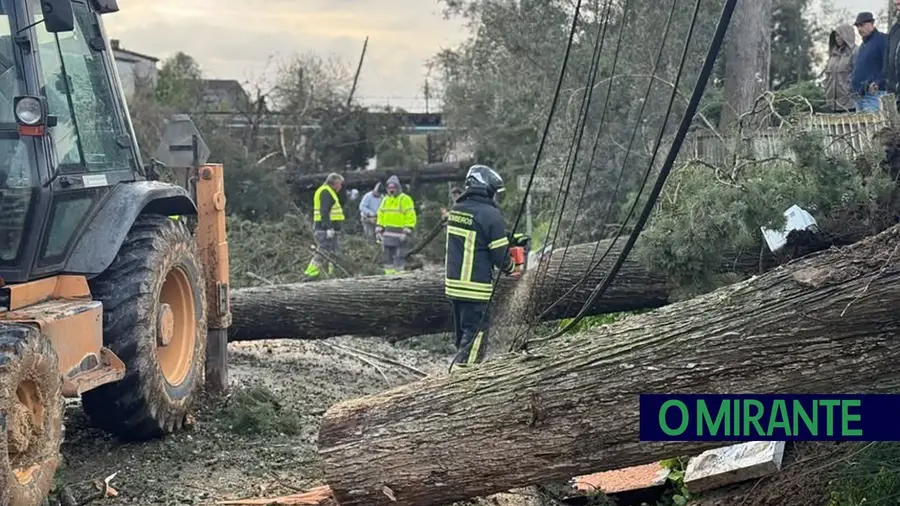 Queda de árvores corta estrada entre Santarém e Ómnias