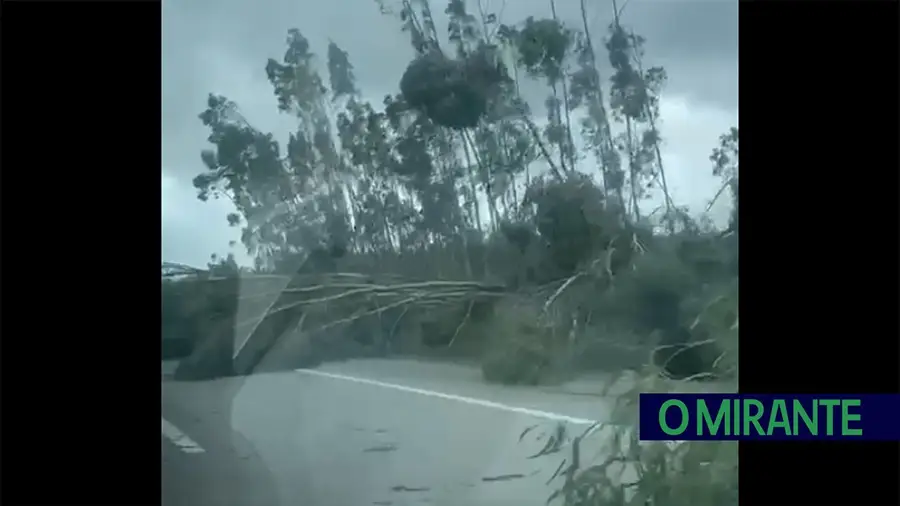 Imagens impressionantes da A13 na zona de Tomar