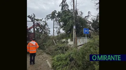 Concelho da Chamusca também não escapou à depressão Kristin