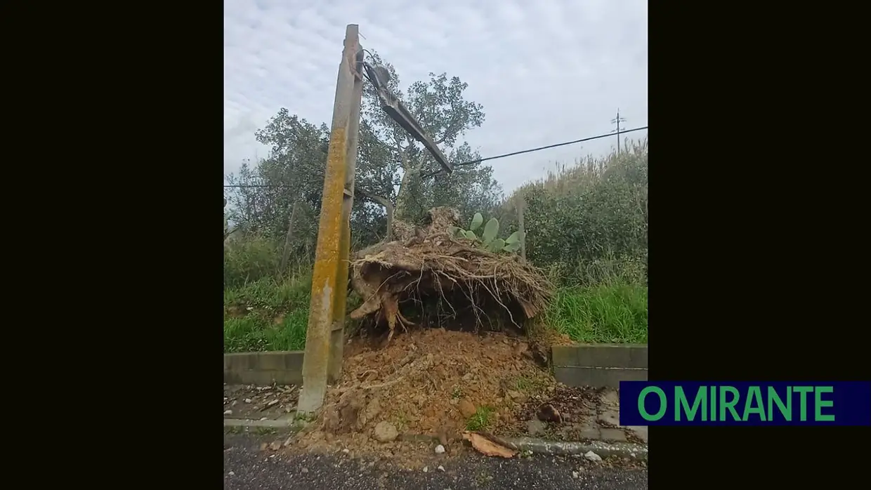 Concelho da Chamusca também não escapou à depressão Kristin