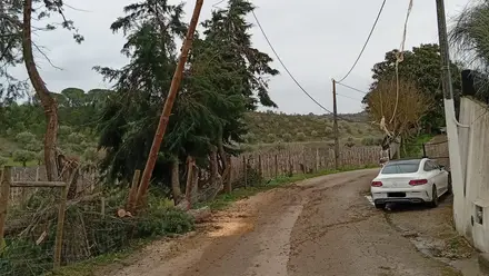 Várias localidades de Torres Novas continuam sem electricidade