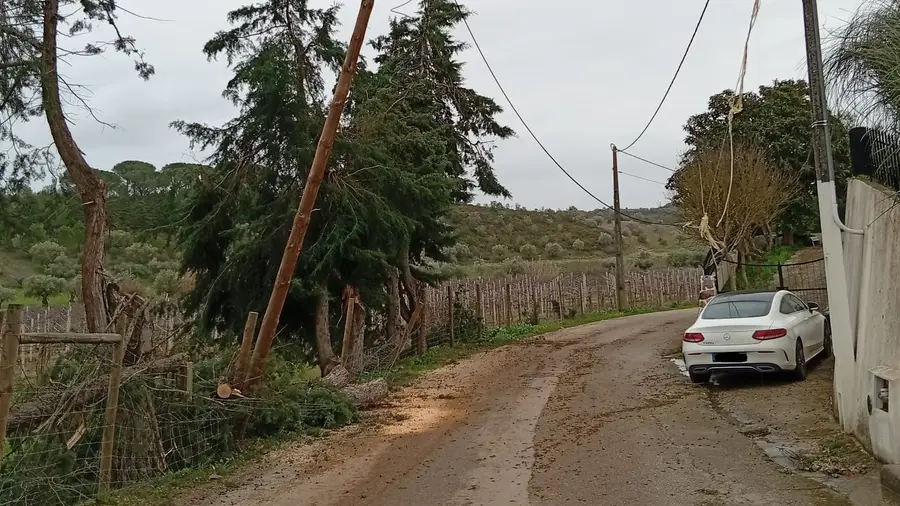 Várias localidades de Torres Novas continuam sem electricidade