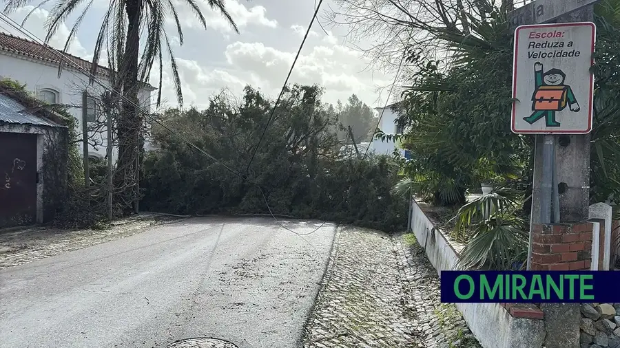 Santarém cria centros de acolhimento nas zonas mais afectadas pela tempestade Kristin