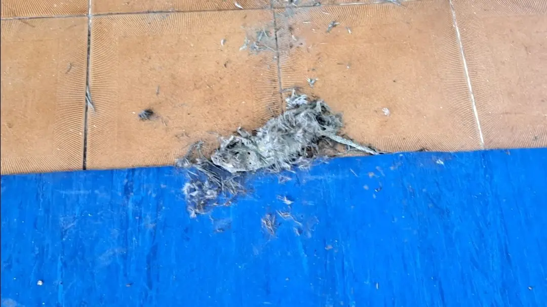 Executivo da Póvoa e Forte da Casa mostra instalações e denuncia degradação e equipamentos obsoletos