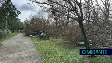 Sem luz, sem água e sem comunicações: freguesias de Ourém em situação crítica