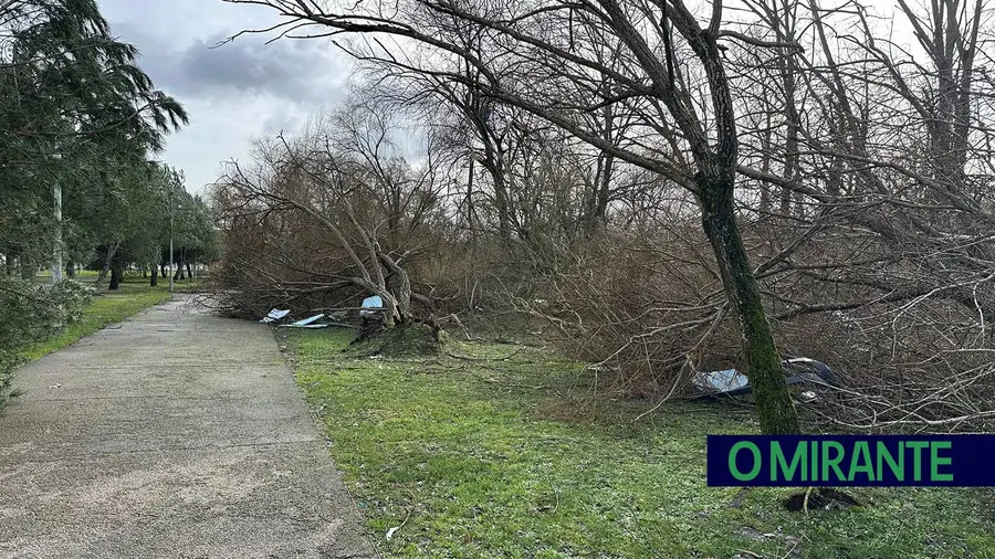 Sem luz, sem água e sem comunicações: freguesias de Ourém em situação crítica