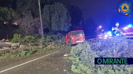 Padeiro paquistanês que morreu em Vila Franca de Xira tentou desviar-se no último instante