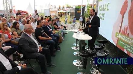 Santarém com 345 mil euros para projectos culturais