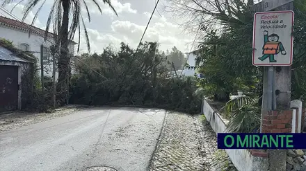 Santarém cria balcão para apoiar candidatos a medidas extraordinárias do Governo
