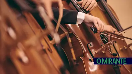 Concerto de violoncelo na Igreja da Misericórdia em Tomar