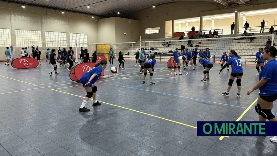 Voleibol e futsal animam Encontros Desportivos Concelhios Xira 2026