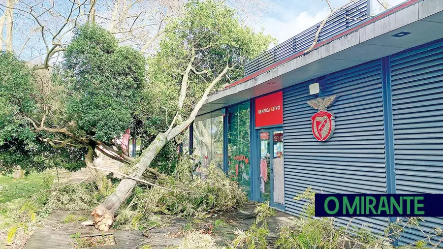 Um dia que fica para a História