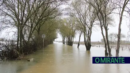 Santarém em alerta máximo com evacuação obrigatória das zonas ribeirinhas