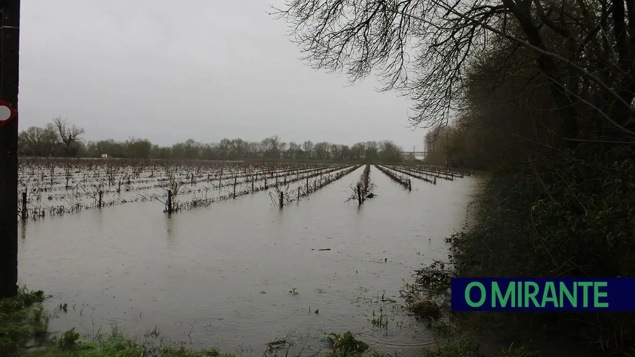 Santarém em alerta máximo com evacuação obrigatória das zonas ribeirinhas