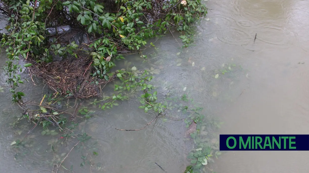 Santarém em alerta máximo com evacuação obrigatória das zonas ribeirinhas