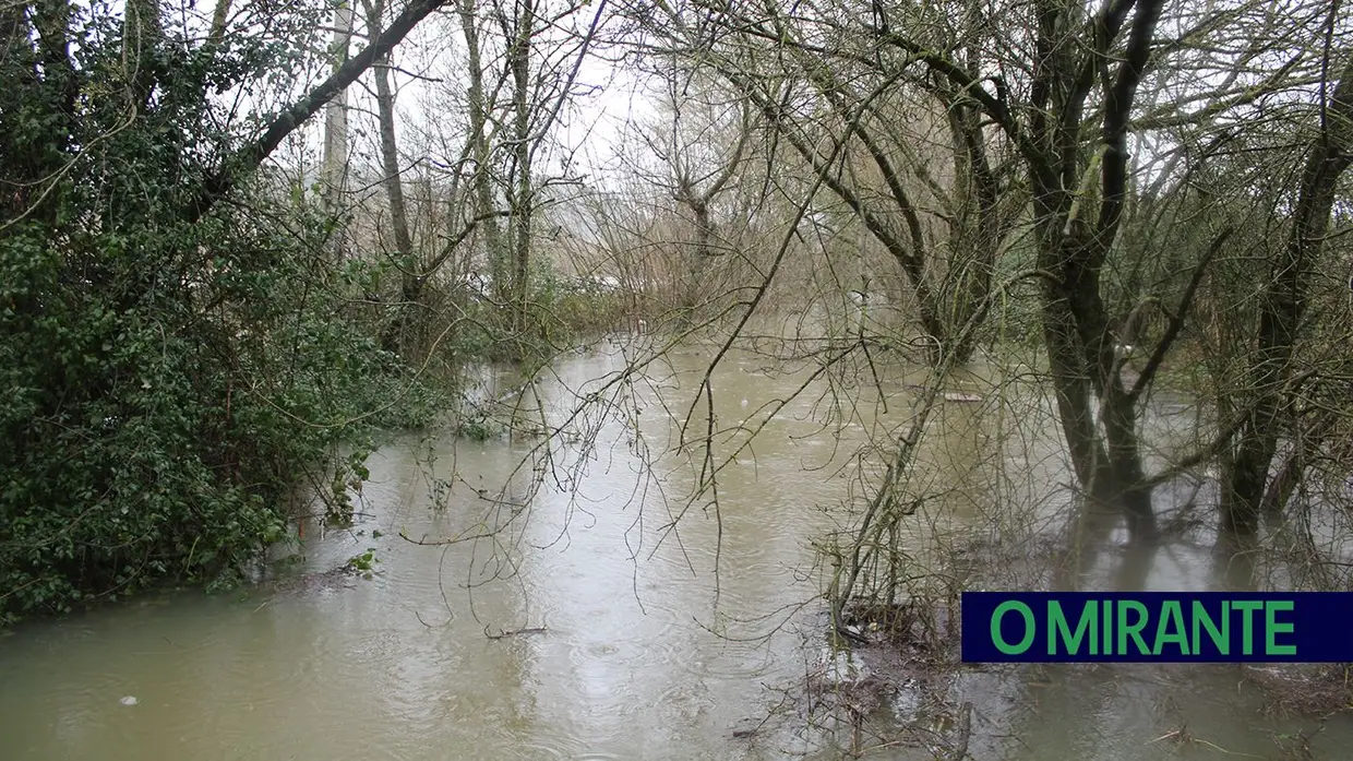 Santarém em alerta máximo com evacuação obrigatória das zonas ribeirinhas