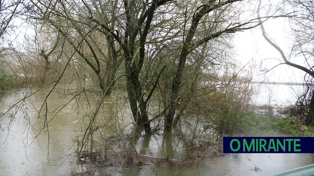Santarém em alerta máximo com evacuação obrigatória das zonas ribeirinhas