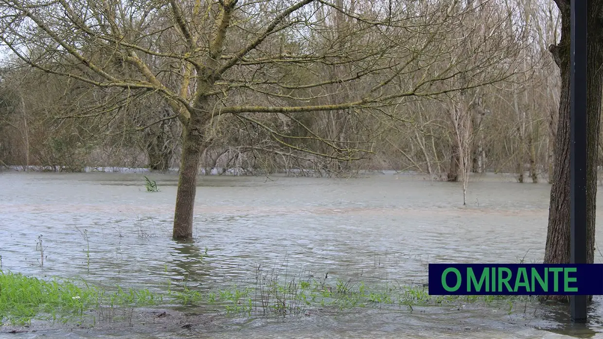 Ribeira de Santarém prepara-se para a subida do Tejo
