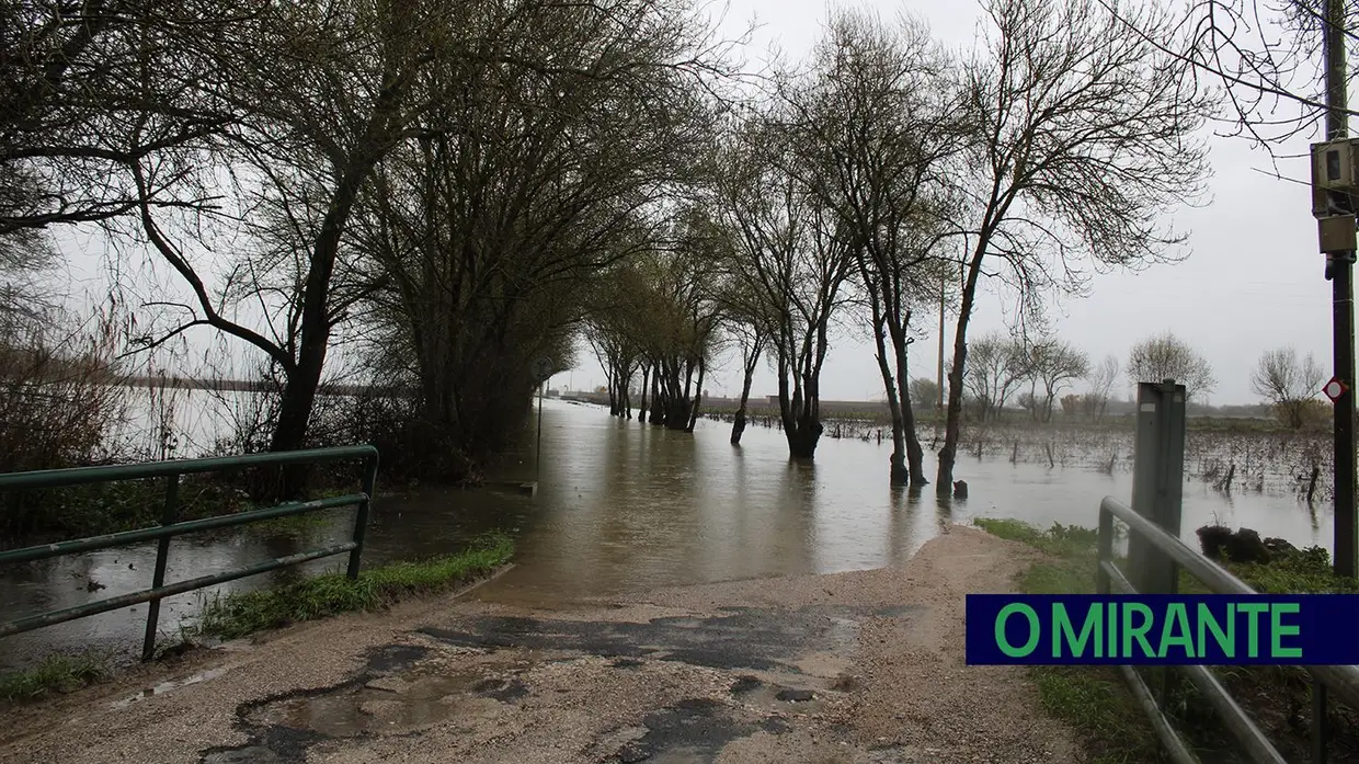 Santarém em alerta máximo com evacuação obrigatória das zonas ribeirinhas