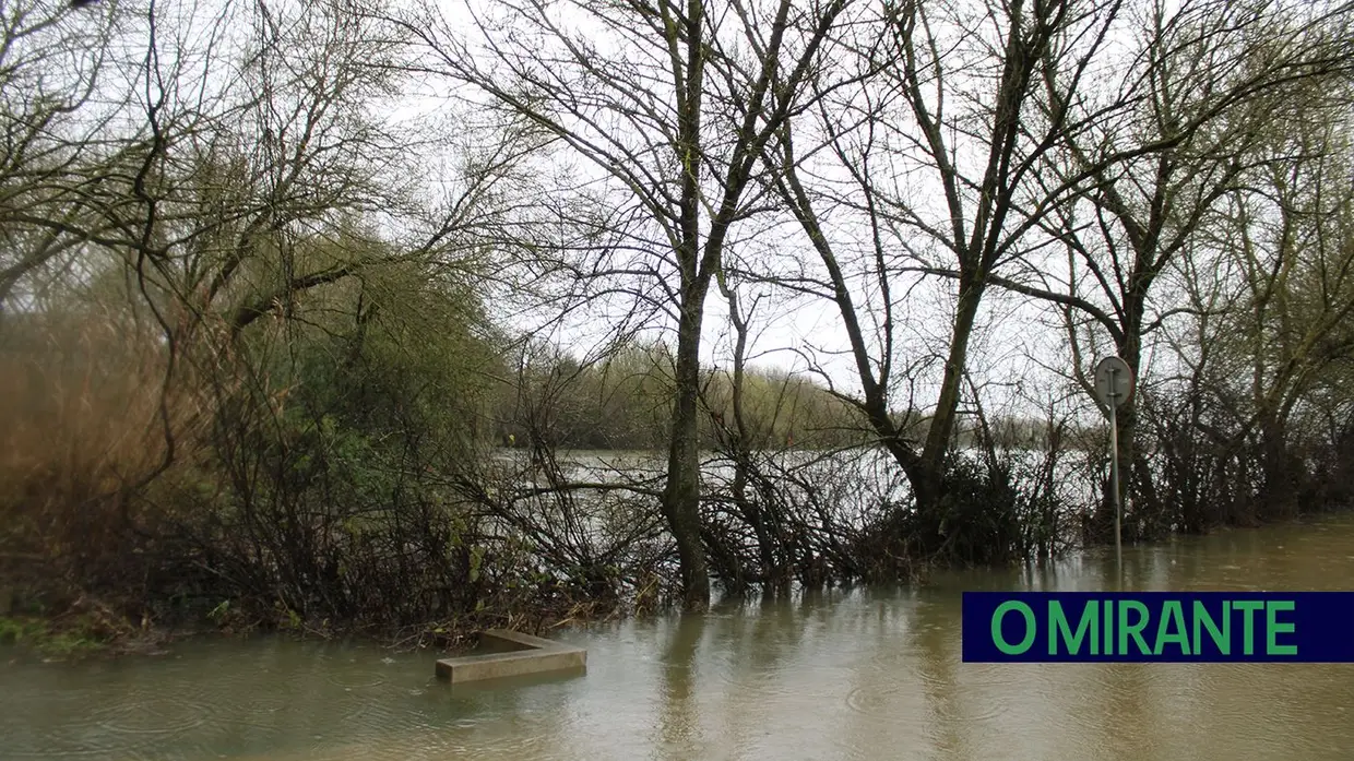 Santarém em alerta máximo com evacuação obrigatória das zonas ribeirinhas