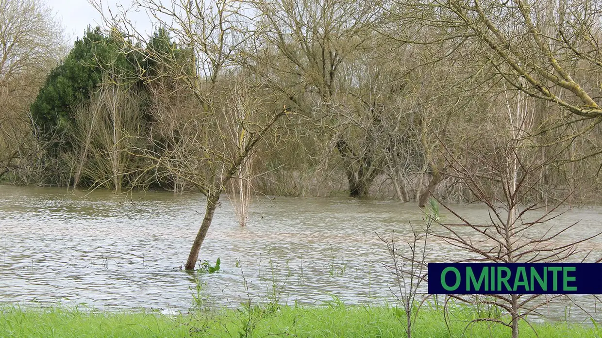 Ribeira de Santarém prepara-se para a subida do Tejo