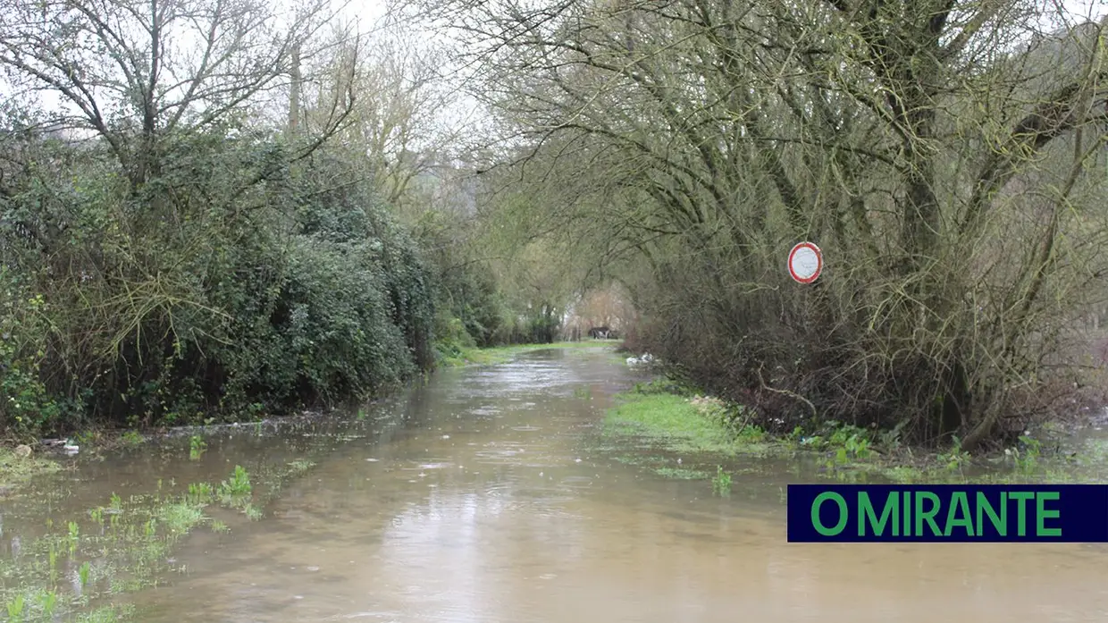 Santarém em alerta máximo com evacuação obrigatória das zonas ribeirinhas