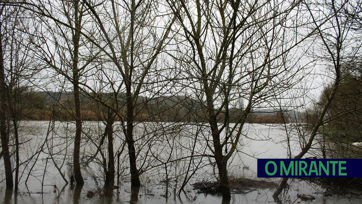 Santarém em alerta máximo com evacuação obrigatória das zonas ribeirinhas