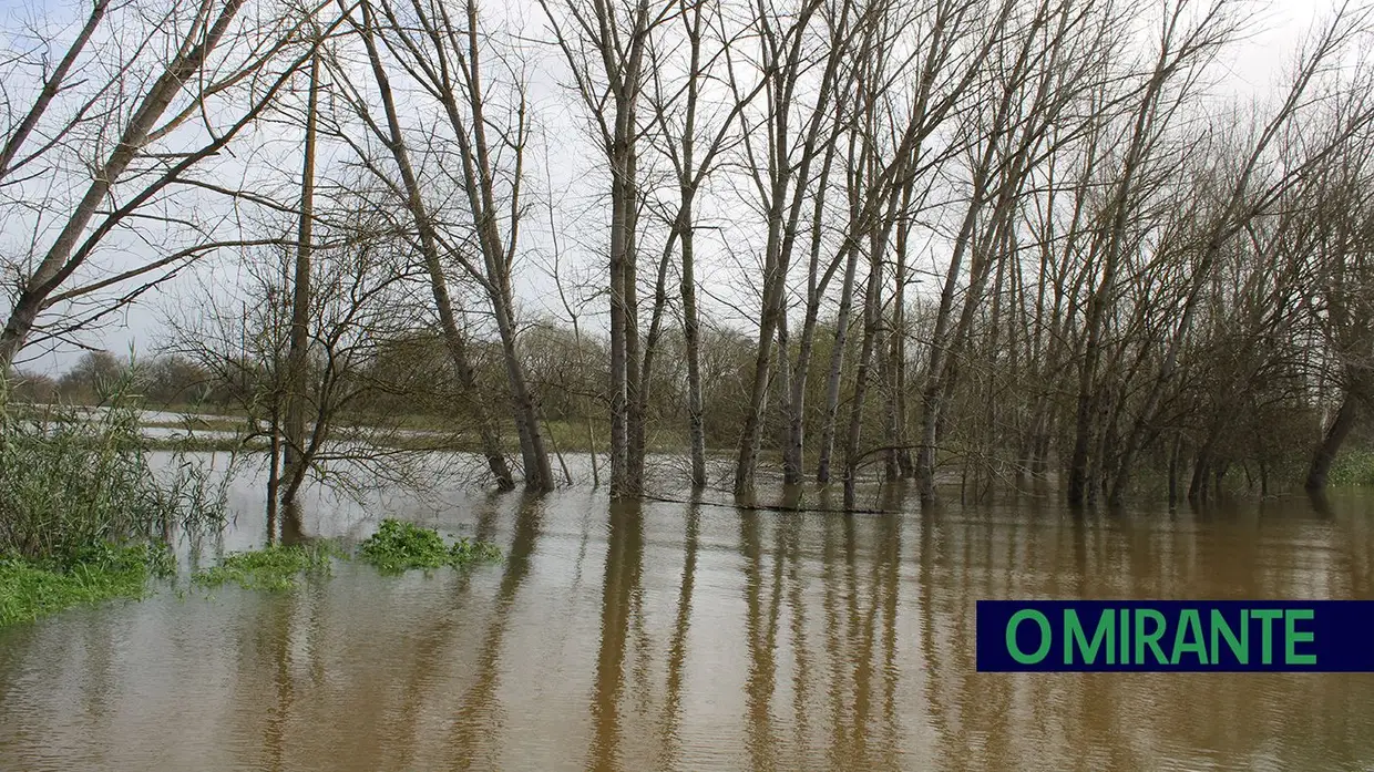 Ribeira de Santarém prepara-se para a subida do Tejo