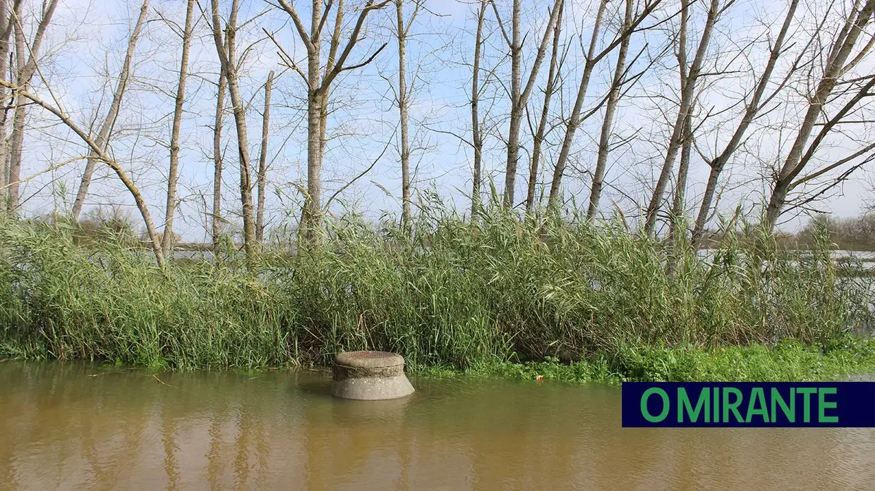 Ribeira de Santarém prepara-se para a subida do Tejo
