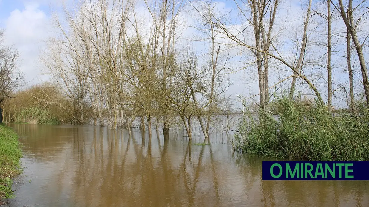 Ribeira de Santarém prepara-se para a subida do Tejo