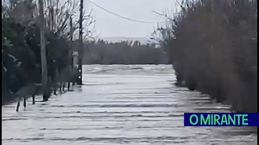 Porto das mulheres na Chamusca engolido pela água do Tejo