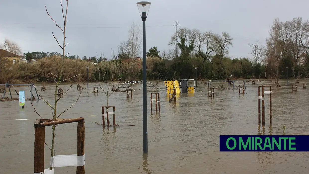 Parque do Flecheiro volta a ficar submerso em Tomar