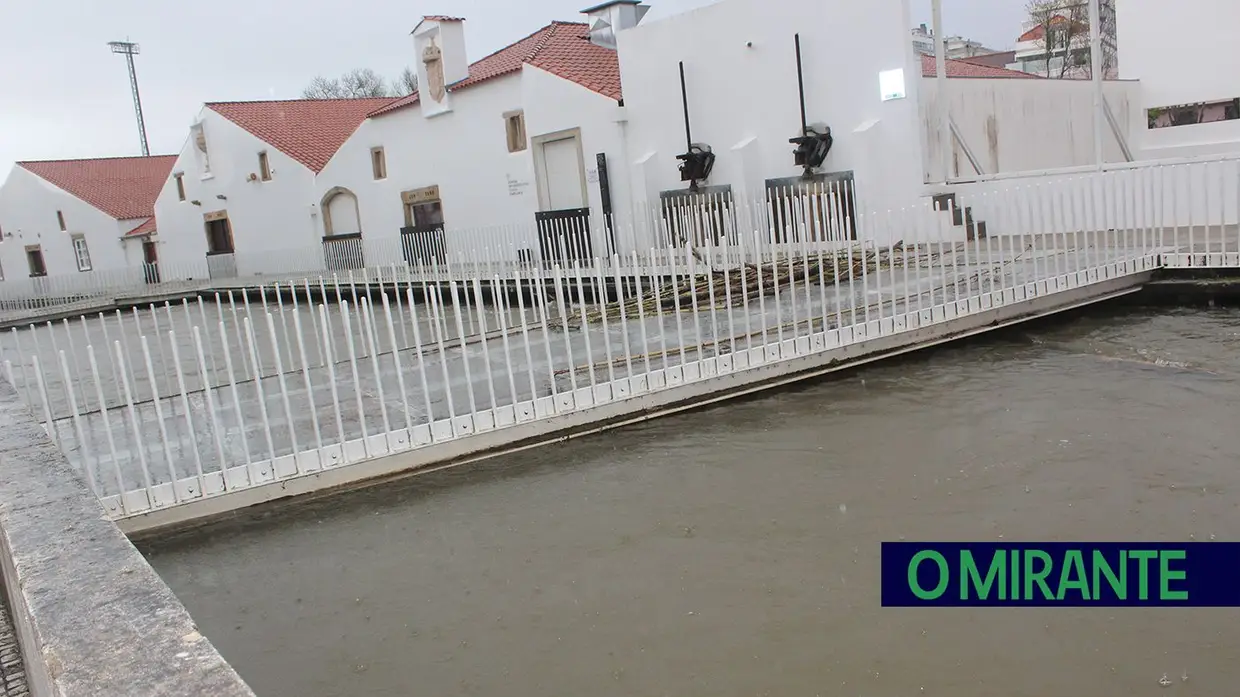 Parque do Flecheiro volta a ficar submerso em Tomar