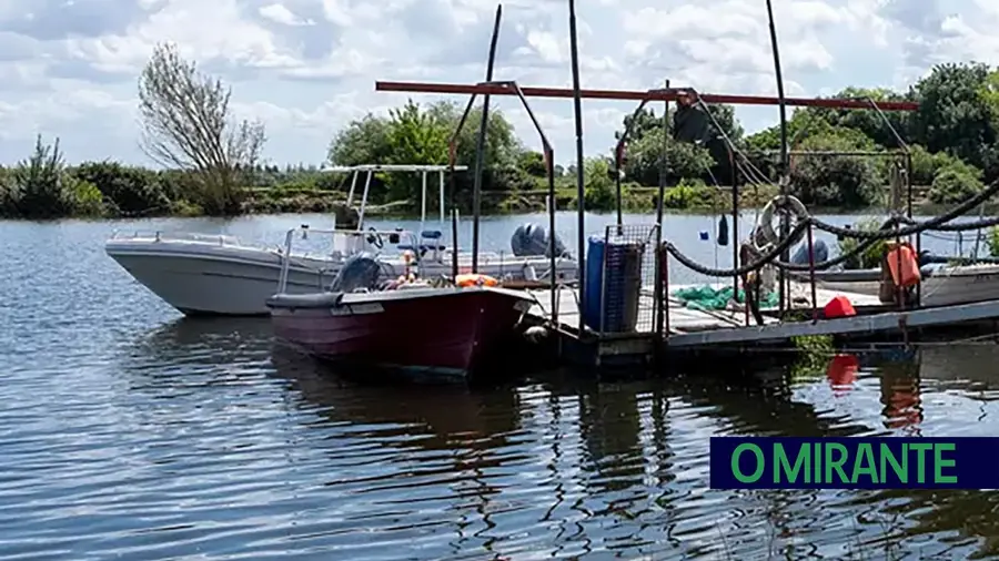 Avieiros do Porto da Palha não querem abandonar as casas