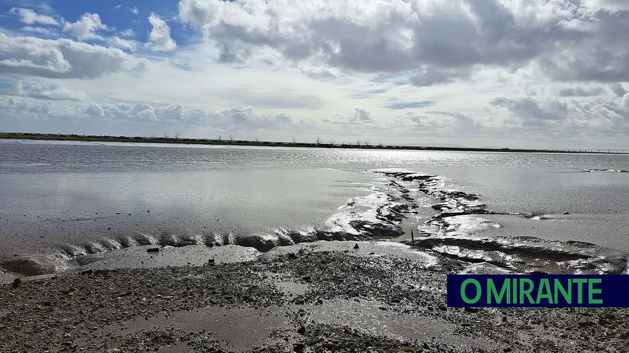 Tejo mantém caudal baixo na zona ribeirinha da Póvoa de Santa Iria