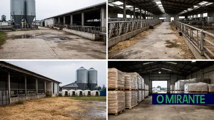 agro pecuaria vazia exploração