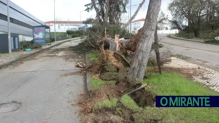 Tempestade Kristin provocou mais de 700 ocorrências em Tomar