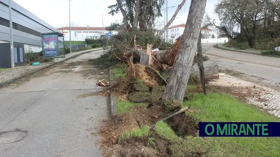 Tempestade Kristin provocou mais de 700 ocorrências em Tomar