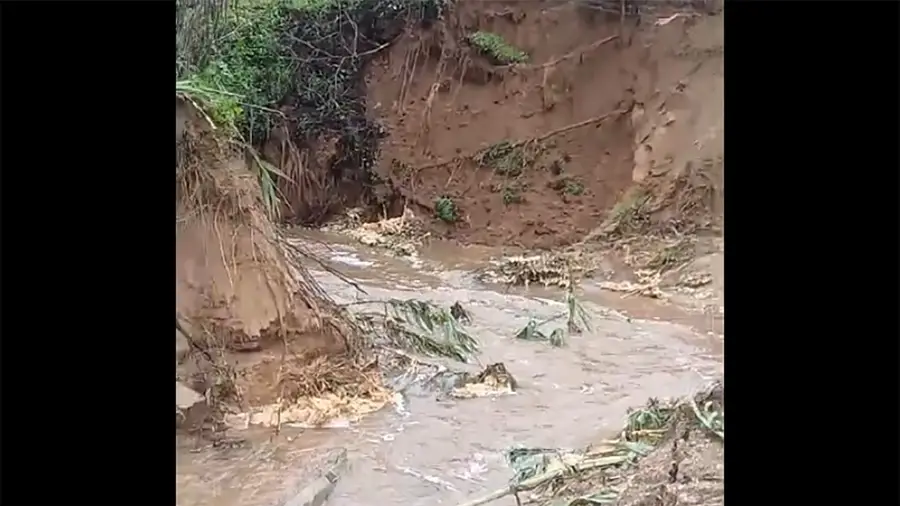 No Pinheiro Grande vive-se um cenário de guerra