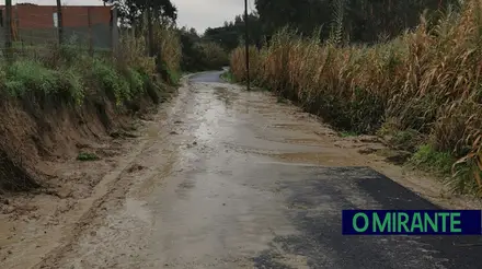 Azambuja solicita ao Governo declaração do Estado de Calamidade
