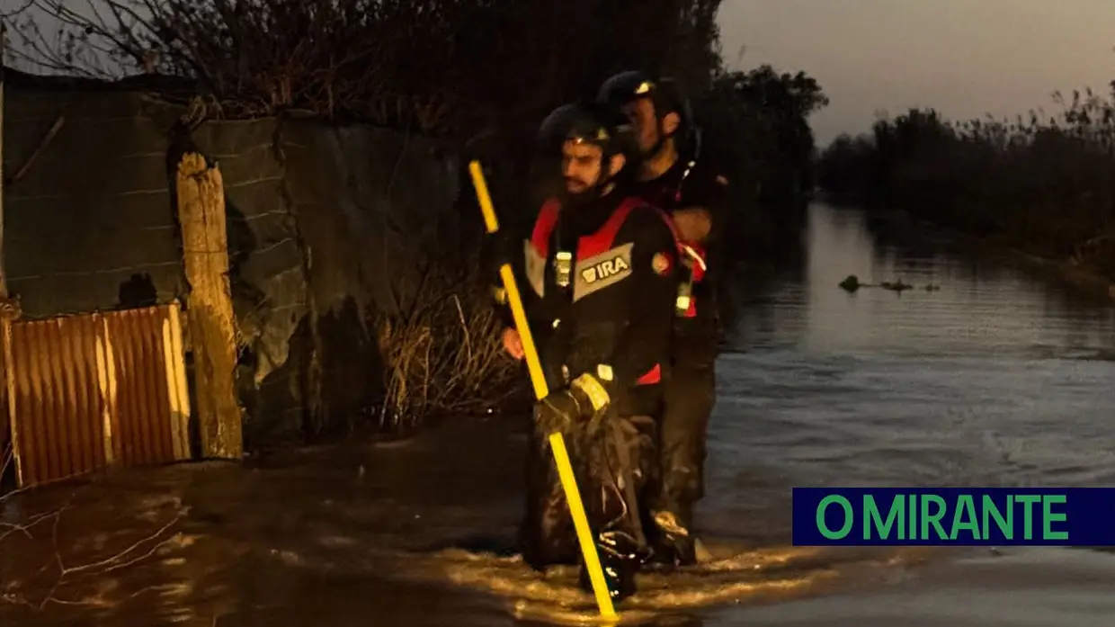 Dezenas de animais morreram em Azambuja isolados pelas cheias